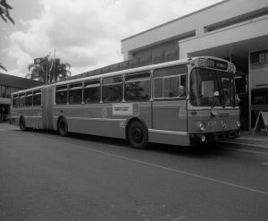banana busses in brisbane
