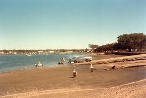 Sandgate Foreshore 1983
