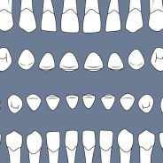 Teeth Eruption Timetable For Baby And Adult Teeth